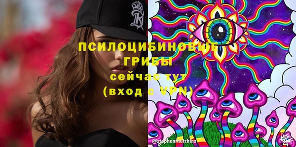 spice Алзамай