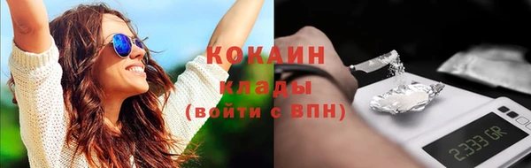 spice Алзамай