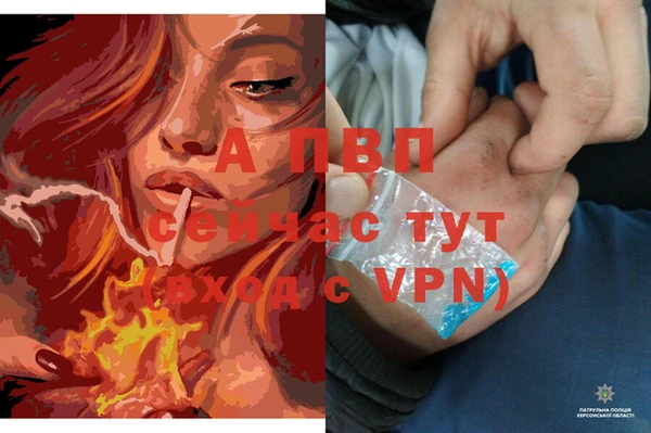 ALPHA PVP Карталы