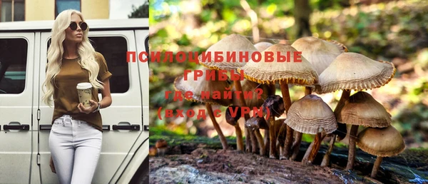 spice Алзамай