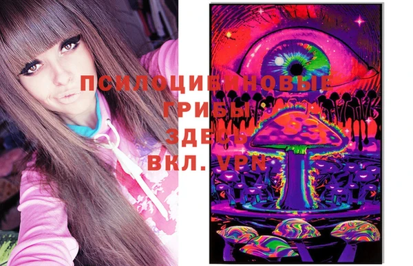 ешки Алексеевка