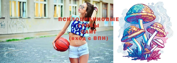 шишки Касимов
